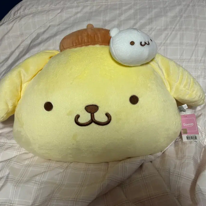 [BUNJANG] Sanrio Pompompurin Face Cushion Plush Doll (Korean Licensed) / 폼폼푸린 한국 라이센스 얼굴쿠션 인형