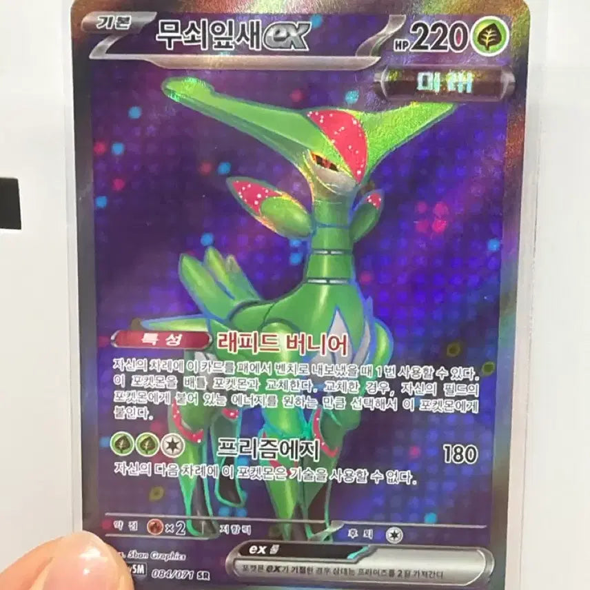 [BUNJANG] Iron Leaf ex SR / 무쇠잎새 ex SR