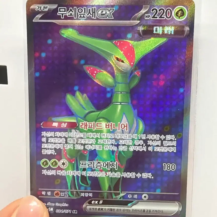 [BUNJANG] Iron Leaf ex SR / 무쇠잎새 ex SR