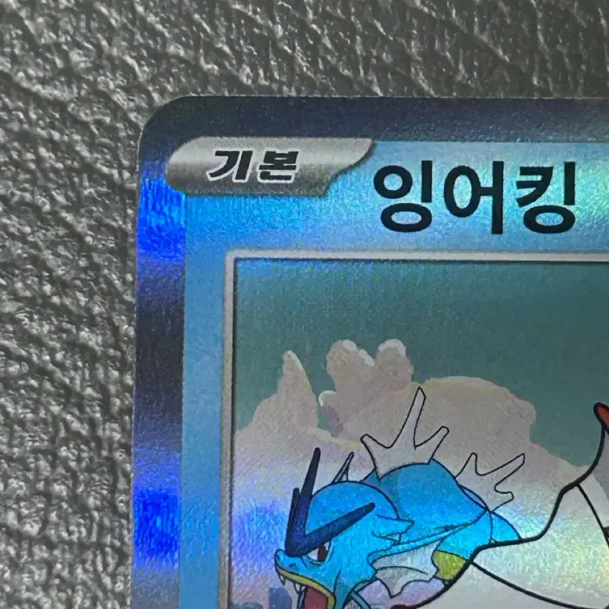 [BUNJANG] Pokemon Magikarp Promo Graded Card / 포켓몬 카드 잉어킹  프로모 개봉 (등급용)