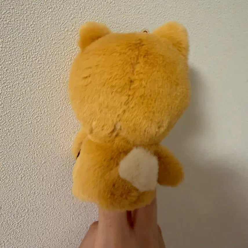 [BUNJANG] DAY6 Denimals Finger 10cm Plush Doll / [새상품] 데이식스 데니멀즈 핑거 10cm 인형 - 케