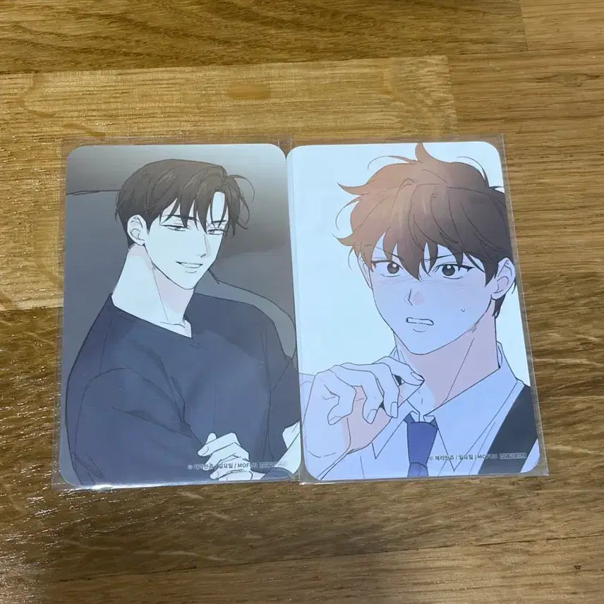 [BUNJANG] Part-Time Partner BL Photocard Set / bl 모펀 파트타임파트너 파파 방문 포카