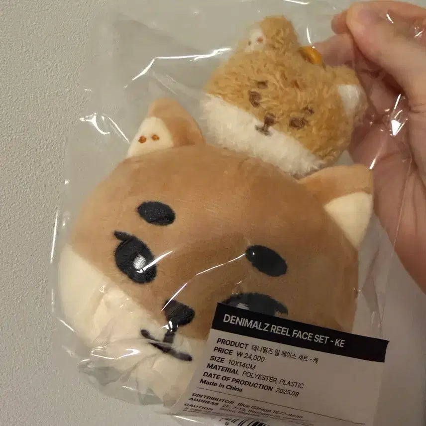 [BUNJANG] Day6 Denny&