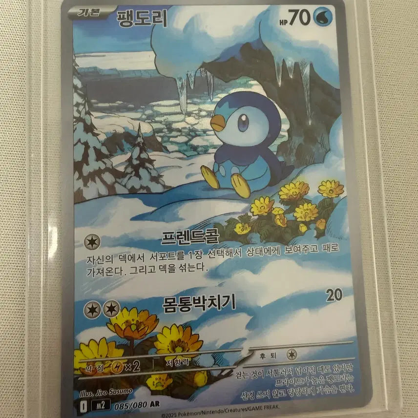 [BUNJANG] Pokemon Card Pendorri AR (SS Grade) / 팽도리 AR (SS급)
