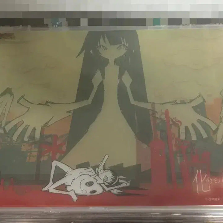 [BUNJANG] Bakemonogatari ED Clear Sheet Hajime Ueda / 미개봉) 바케모노가타리 ED 클리어 판 시트우에다 하지메 엔딩
