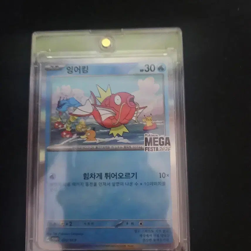 [BUNJANG] Pokemon Card Magikarp Mega Festa 2026 / 포켓몬 카드 잉어킹 메가 페스타 2026
