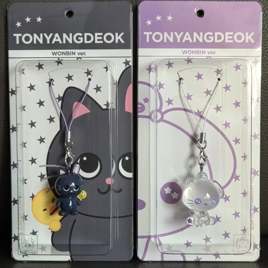 [BUNJANG] RIIZE Archive Popup Resin Keychain Bundle Set (Wonbin) / 일괄)라이즈 아카이브 팝업 레진 키링A,B 원빈 토냥덕 판매