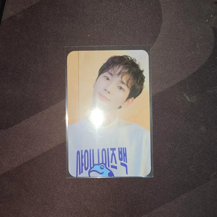[BUNJANG] SHINee Key Jinro Sticker Photocard Set / 샤이니 키 진로 스티커 포카 포함
