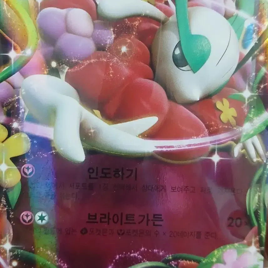 [BUNJANG] Pokemon Card Florges EX / 포켓몬 카드 플라제스 EX