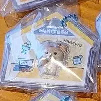 [BUNJANG] Seventeen Bandai Mini-Tin Jelly Charm Keychain S.Coups / 세븐틴 반다이 미니틴 젤리 참키링 샤슴이