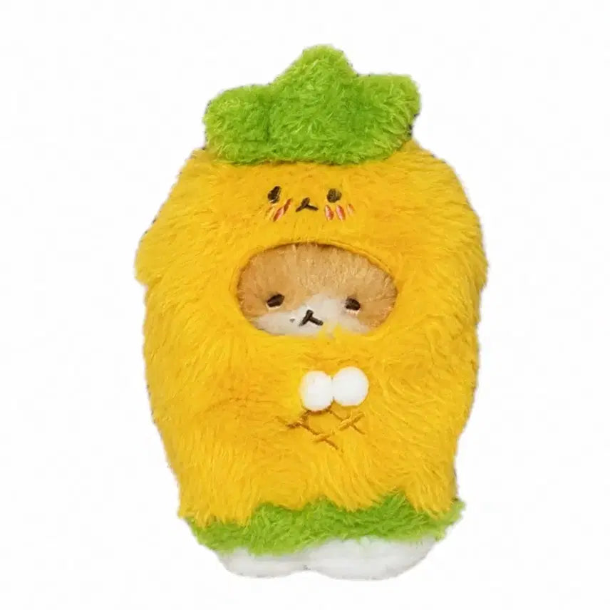 [BUNJANG] Baekhyun Teddy Bear Keychain + Pineapple Outfit Bundle Set / 백현터래기인형 키링+ 파인애플키링옷 일괄양도