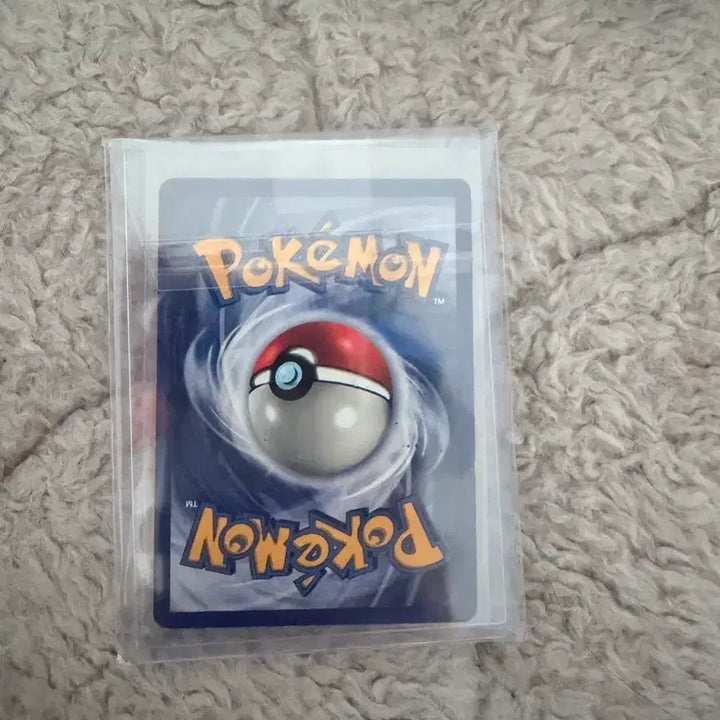 [BUNJANG] Gyarados Promo, Machamp 1st Edition North America Holo / 갸라도스프로모 ,괴력몬 초판 북미 팝니다