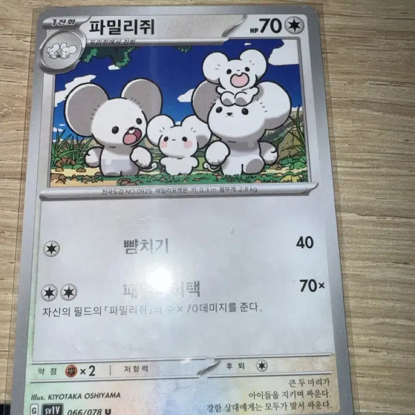 [BUNJANG] Pokemon Card Famiridji - Stage 1 Evolution / 포켓몬 카드 파밀리쥐 1진화