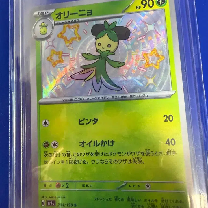 [BUNJANG] Pokemon Card Shiny Olinyo Japanese Edition / 포켓몬카드 올리뇨 이로치 일판 카드