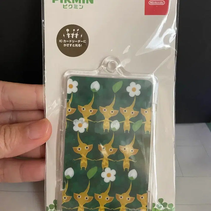 [BUNJANG] Pikmin IC Card Holder / 피크민 ic카드 홀더