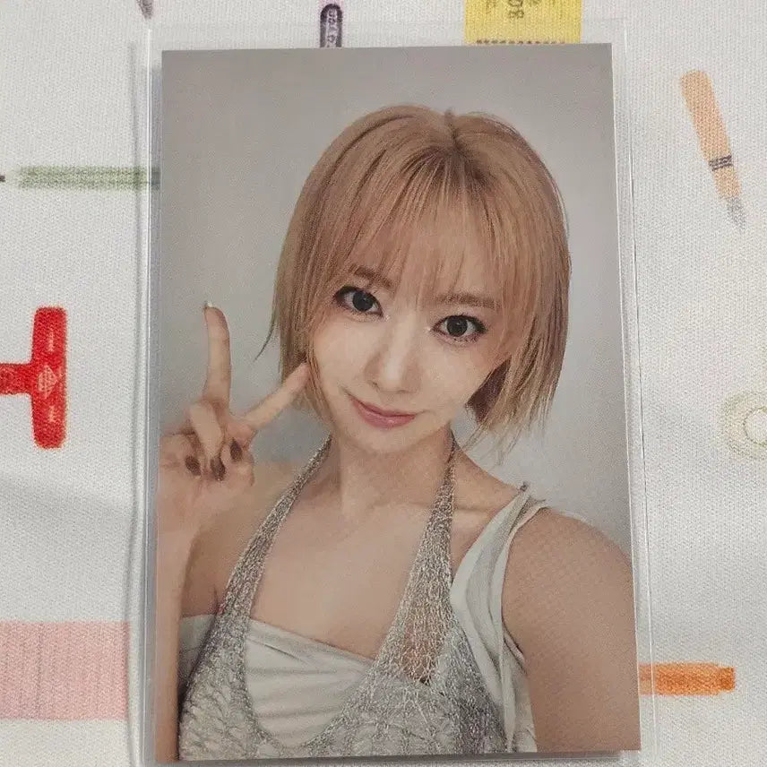 [BUNJANG] LE SSERAFIM Pure Flow Concert MD Wind Jacket POB Sakura Photocard / 르세라핌 퓨어플로우 콘서트 MD 윈드자켓 특전 포카 사쿠라 꾸라