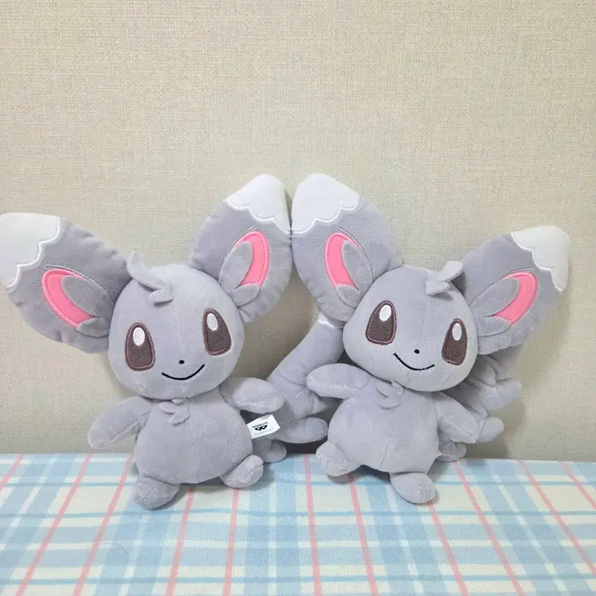 [BUNJANG] Banpresto Pokemon 2023 Teddiursa Plush / [포켓몬스터] 포켓몬 반프레스토 치라미 봉제인형