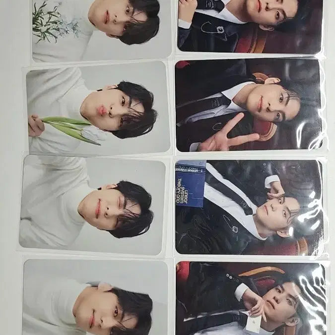 [BUNJANG] DAY6 Wonpil Discography Collect Book with Photocard / 원필 필모그래피 콜렉트북 포카포함 6.5