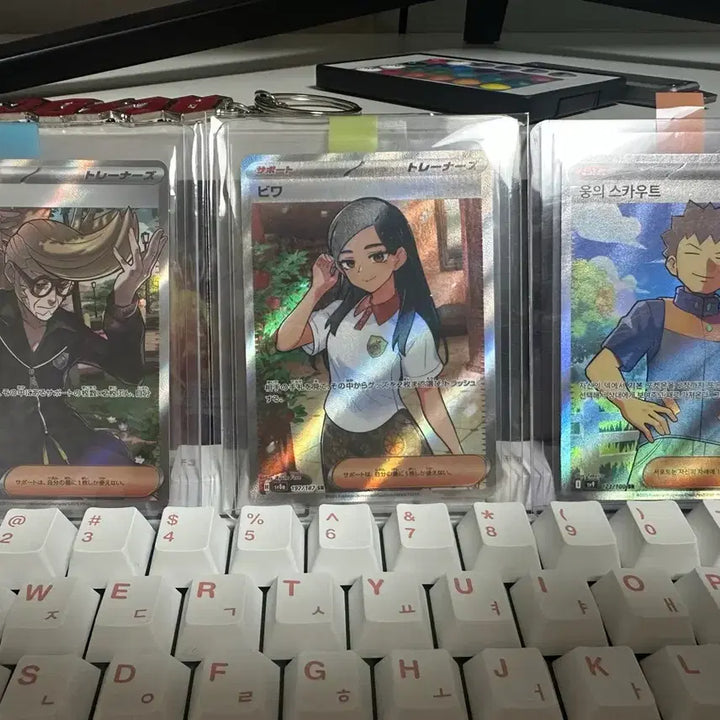 [BUNJANG] Pokemon Trainer Card Bundle Set / 포켓몬 트레이너5종 일괄