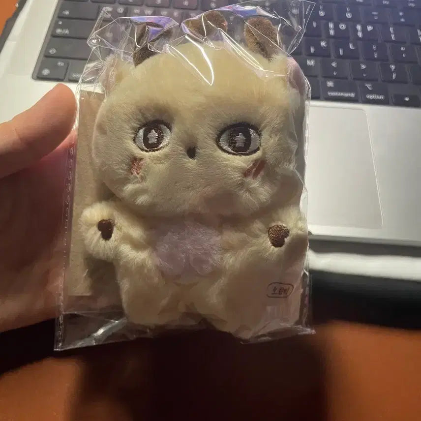 [BUNJANG] Park Jihoon Somimi Doll Photocard Included / 박지훈 소심이 인형 미개봉 양도 포카O