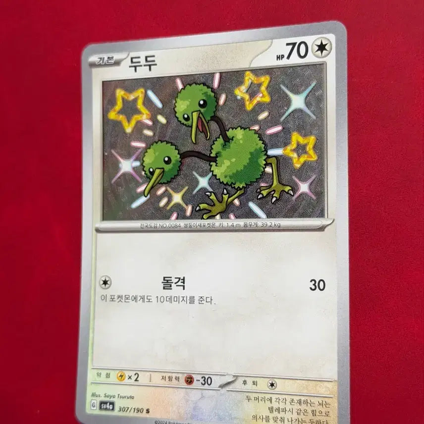 [BUNJANG] Pokemon Card Shiny Dudu S (Shiny Treasure) / 포켓몬카드 두두 S 이로치 (샤이니트레져-샤트)