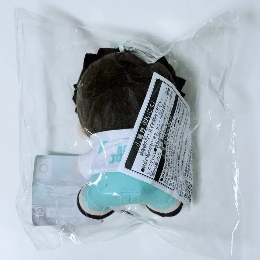 [BUNJANG] Haikyu!! Taito Kuji D Prize Mascot Plush - Hajime Iwaizumi / 하이큐 타이토쿠지 D상 마스코트 인형 누이 - 이와이즈미 하지메