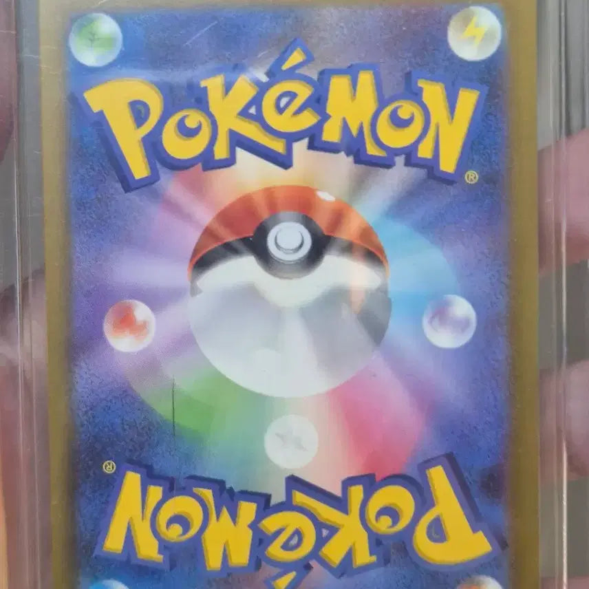 [BUNJANG] Pokemon Card N&