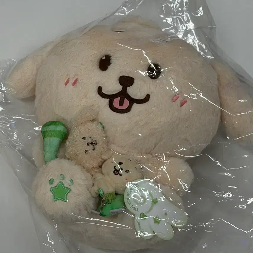 [BUNJANG] NCT WISH Jaehee 30cm Daengdiver Mini Doll Fandom Light Keyring Bundle Set / 엔시티위시 재희 댕트리버 30cm 미니돌 팬라이트 키링 일괄 양도