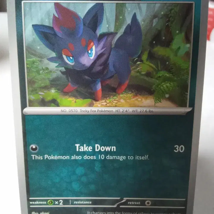 [BUNJANG] Pokemon Card Zoroark 061/086 (North American Edition) / 북미판 포켓몬 카드 조로아 061/086