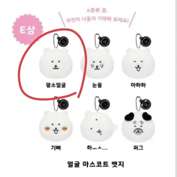 [BUNJANG] Nagano Market Nongdamgom (Damgomi) Kuji Prize E / 나가노마켓 농담곰(담곰이) 쿠지 E상