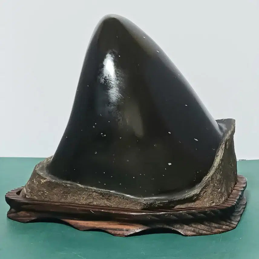 [BUNJANG] High-Quality "Su-seok" (Fossil Stone) / 수석(부화석/석중석)