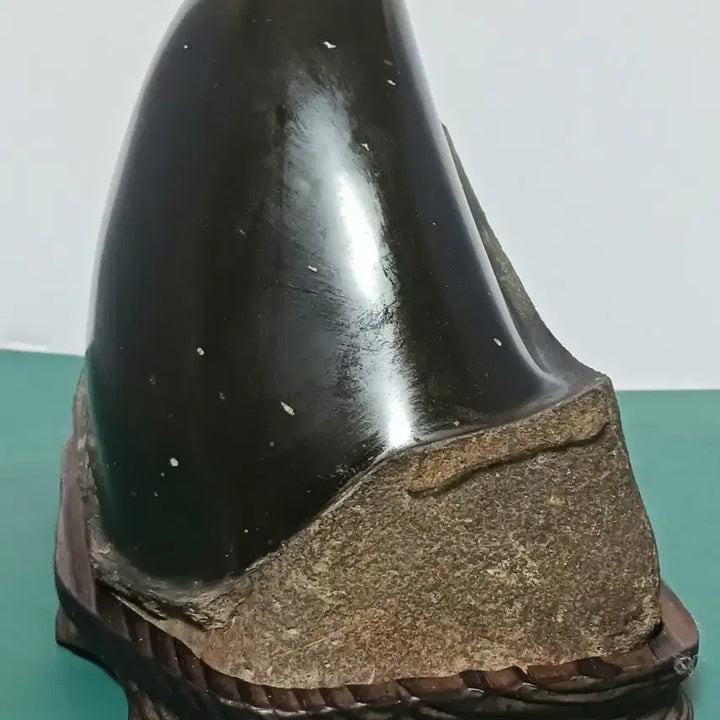 [BUNJANG] High-Quality "Su-seok" (Fossil Stone) / 수석(부화석/석중석)