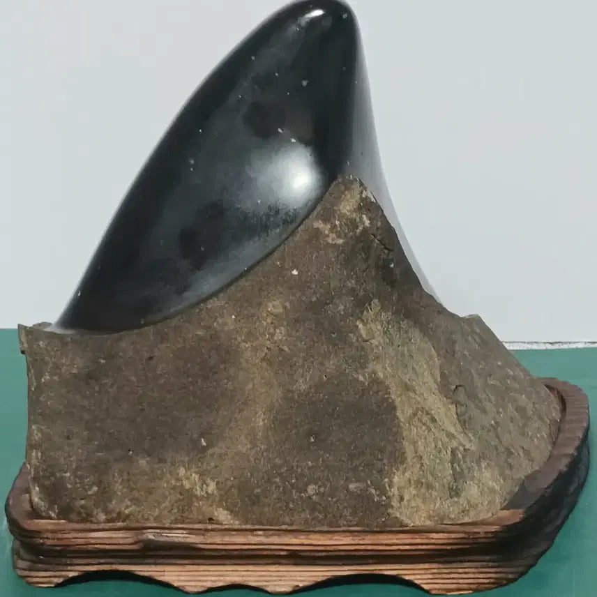 [BUNJANG] High-Quality "Su-seok" (Fossil Stone) / 수석(부화석/석중석)