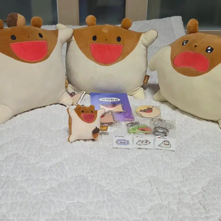 [BUNJANG] SEVENTEEN Jeonghan Plush Doll Bundle Set / 부드라미 안아줘요 인형, 특전 굿즈 일괄