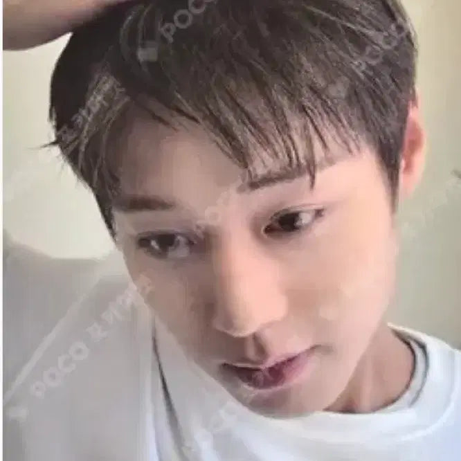 [BUNJANG] Park Ji Hoon Forment Photocard / 박지훈 포맨트 포토카드