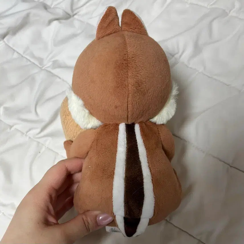 [BUNJANG] Disney Chip &