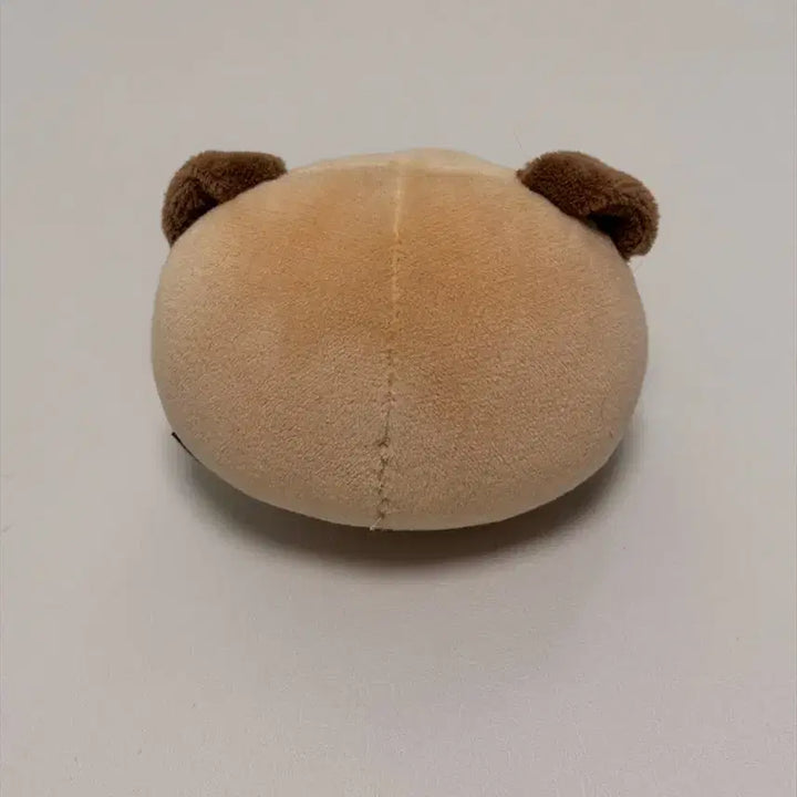 [BUNJANG] Day6 Denimals Stress Ball Don / 데이식스 데니멀즈 스트레스볼 돈
