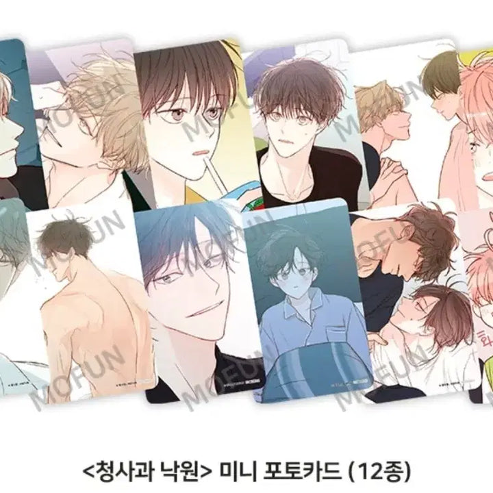 [BUNJANG] Cheonggwawon Cheongnakwon Mo Fun Bangpo DalGuk Birthday Photocard Full Set / 청사과낙원 청낙원 모펀 방포 포토카드 포카 생일 달국 풀셋