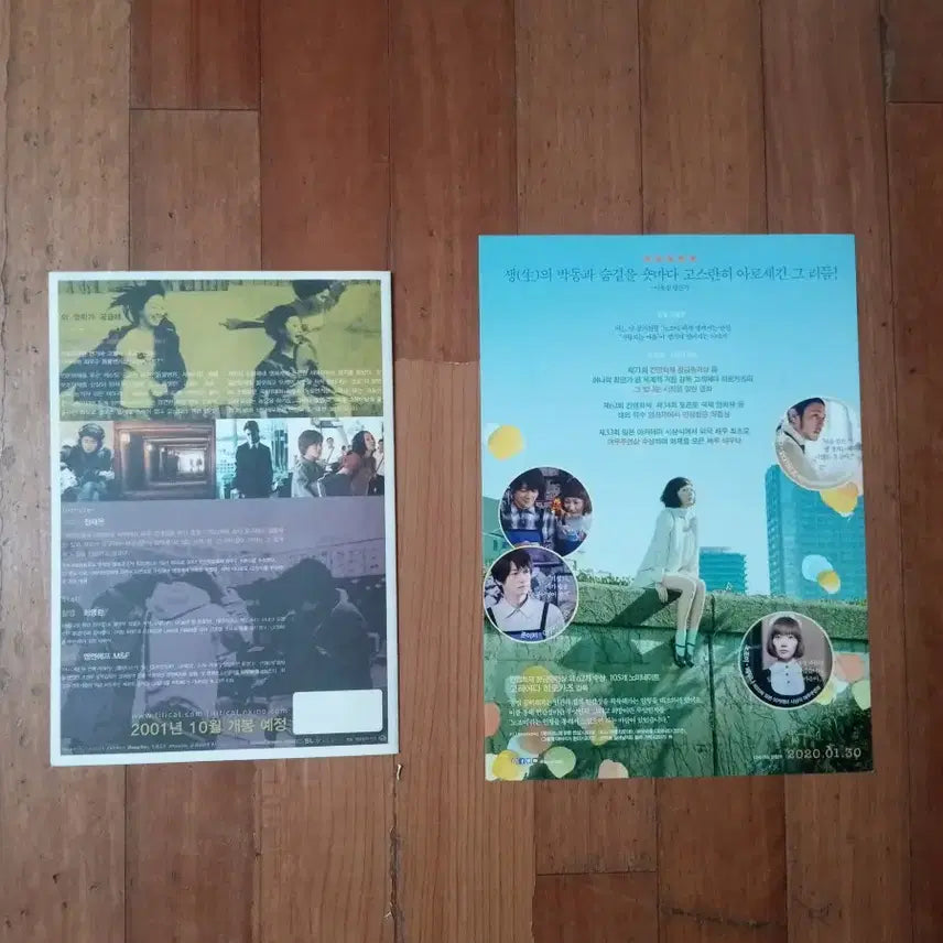 [BUNJANG] Take Care of My Cat (2001) Movie Pamphlet &amp; Air Doll Set (Bae Doona) / 영화팜플렛 고양이를 부탁해 공기인형 2종일괄 배두나  전단지 포스터