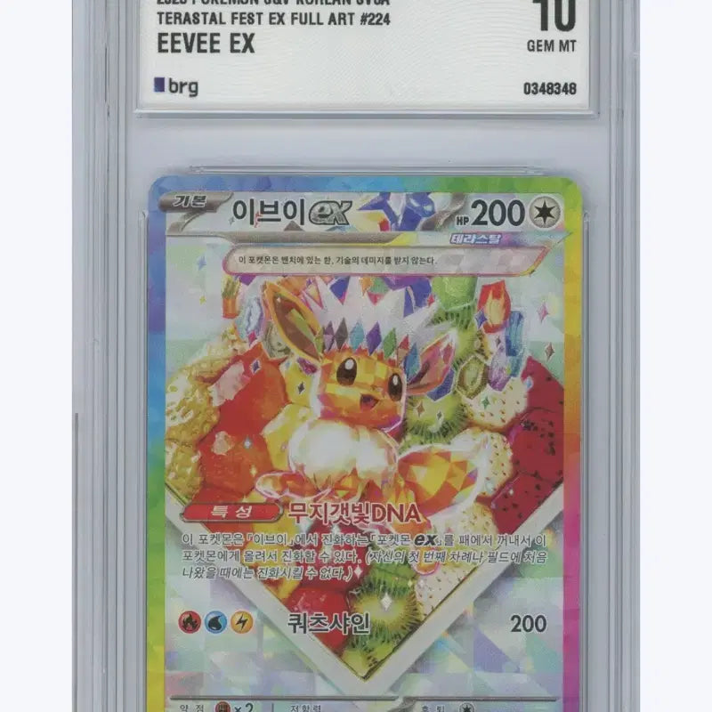 [BUNJANG] Pokemon Card Eevee SAR Terrastal Graded Card (BRG 10) / 포켓몬 카드 brg 10 테라스탈 이브이 sar 등카 등급카드