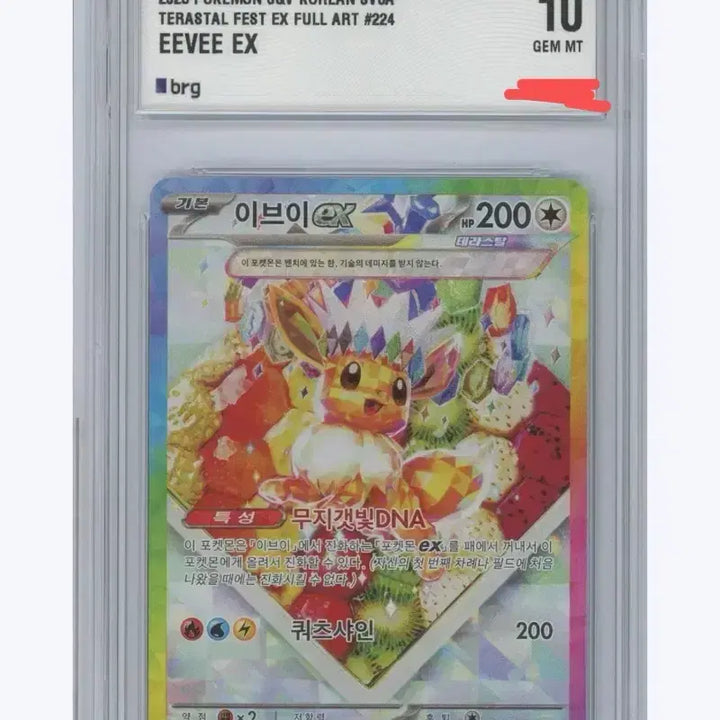 [BUNJANG] Pokemon Card Eevee SAR Terrastal Graded Card (BRG 10) / 포켓몬 카드 brg 10 테라스탈 이브이 sar 등카 등급카드