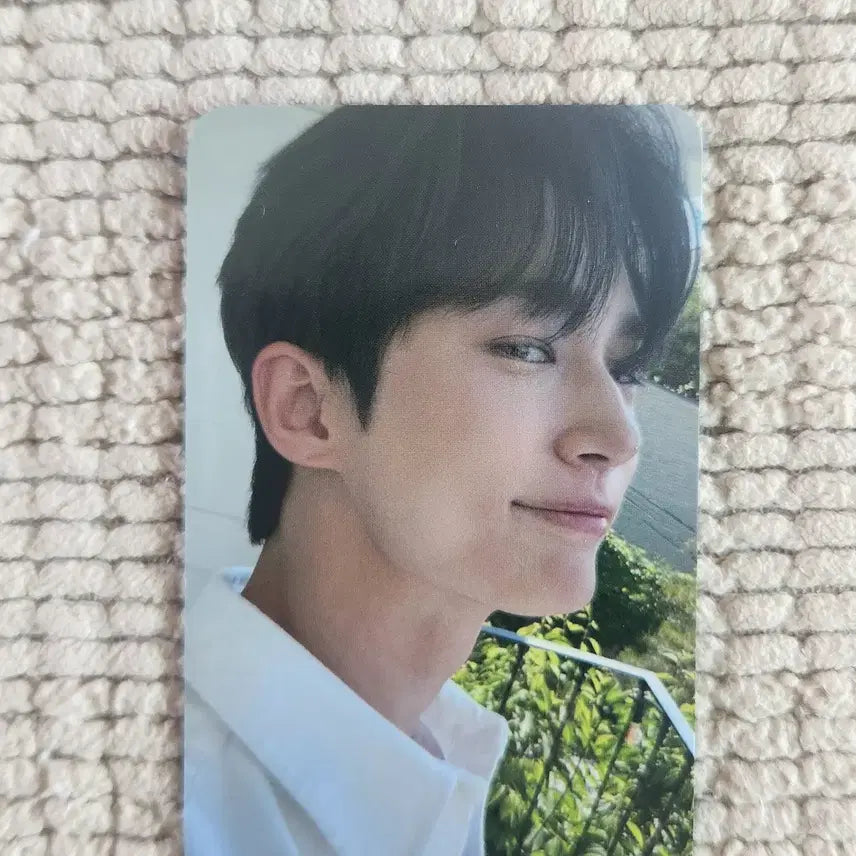 [BUNJANG] Byeon Woo Seok Lovely Runner Ecobag Photocard / 변우석 선재업고튀어 에코백포토카드