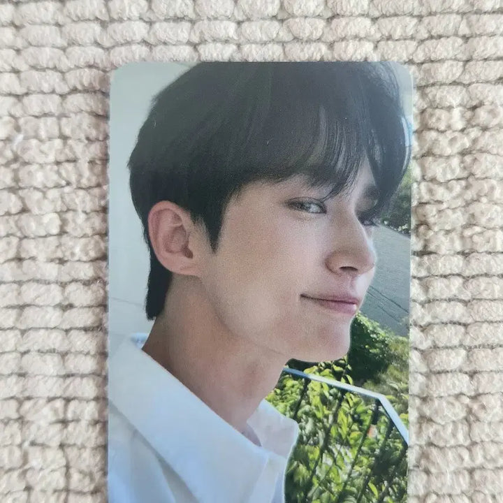[BUNJANG] Byeon Woo Seok Lovely Runner Ecobag Photocard / 변우석 선재업고튀어 에코백포토카드