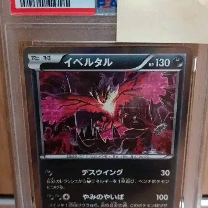 [BUNJANG] 2016 Yveltal 033/054 Holo 1st Edition PSA 8 Graded Card / 2016년 이벨타르 033/054 홀로 1st Ed PSA8 초희귀