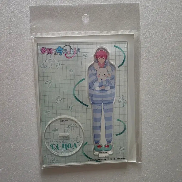 [BUNJANG] Tamon-kun Acrylic Stand (Sealed) / 타몬군 아크릴스탠드 미개봉