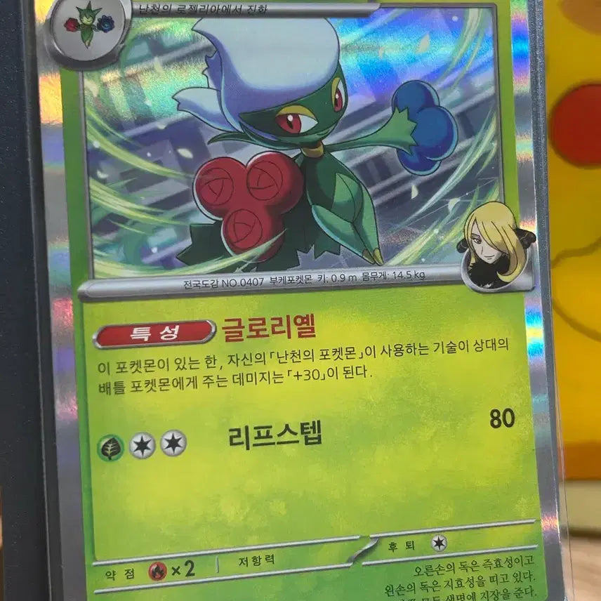 [BUNJANG] Pokémon N&