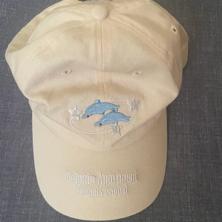 [BUNJANG] Aimyon Purple Hoodie Beige Cap / 아이묭 내한 보라후드 베이지캡