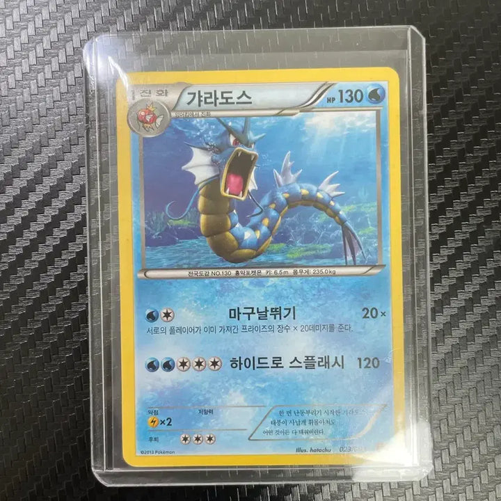 [BUNJANG] 2013 Gyarados EBB Normal Card / 2013 갸라도스 ebb 일반 노말 카드