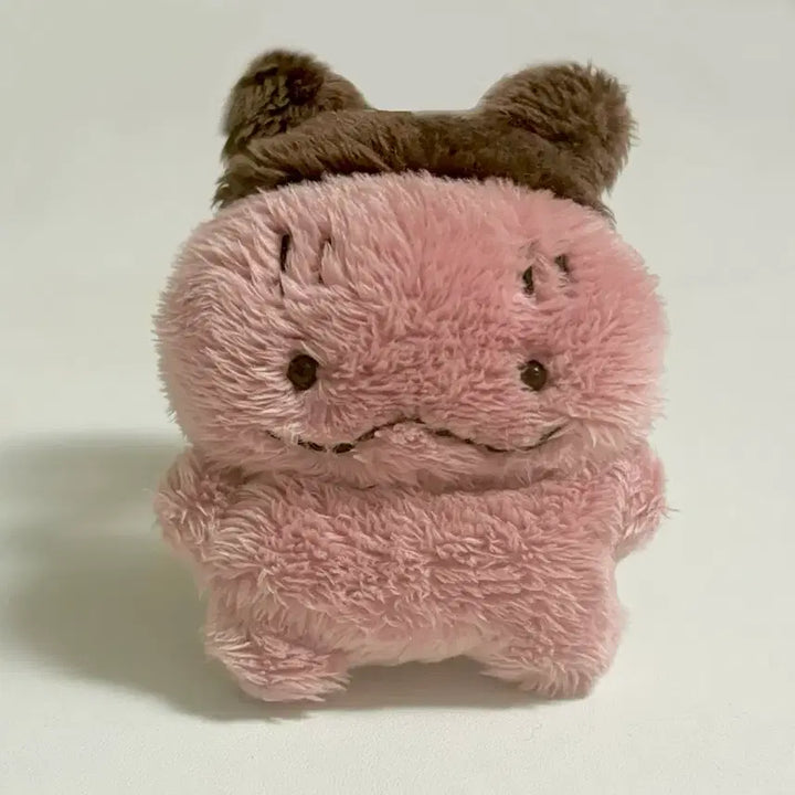 [BUNJANG] Puffybrows Mini Snow Seal Plush / (오늘만 할인)퍼피브라우즈puffybrows 눈써비 인형