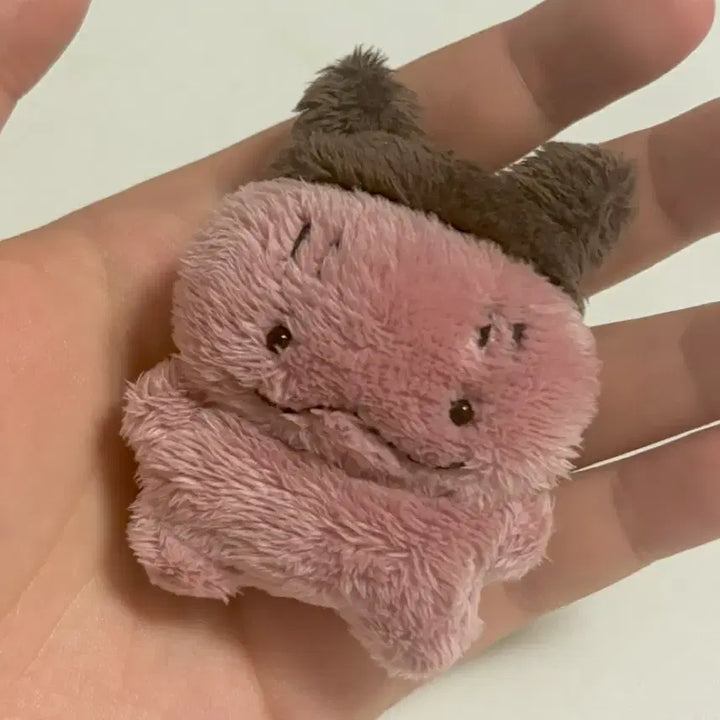 [BUNJANG] Puffybrows Mini Snow Seal Plush / (오늘만 할인)퍼피브라우즈puffybrows 눈써비 인형